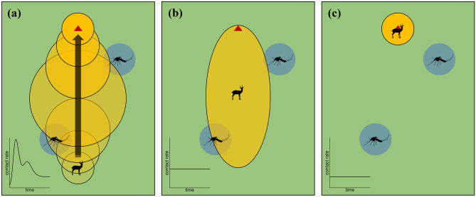 Transient disease dynamics across ecological scales.