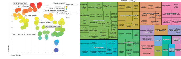 MicroRNA (miRNA) Differential Expression and Exposure to Crude-Oil- Related Compounds.