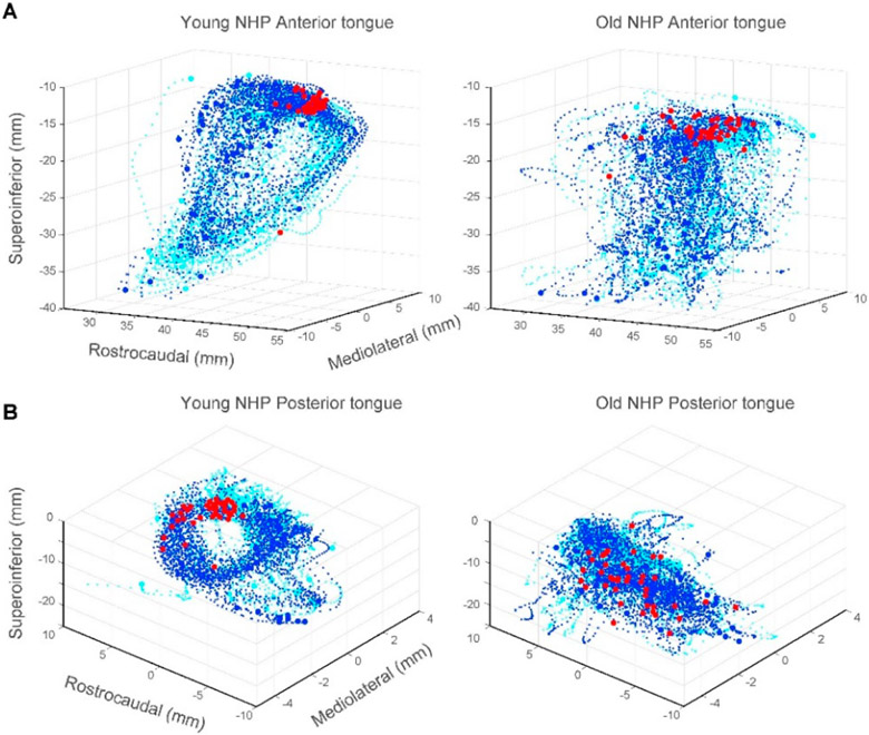 The Association between Age-Related Changes in Oral Neuromechanics and Alzheimer's Disease.