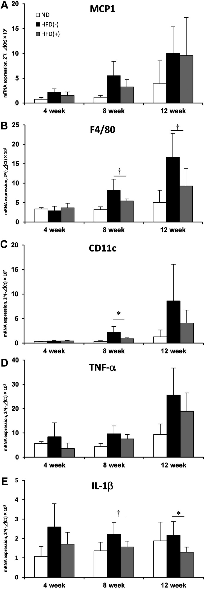 Heat-killed <i>Lactobacillus plantarum</i> L-137 attenuates obesity and associated metabolic abnormalities in C57BL/6 J mice on a high-fat diet.