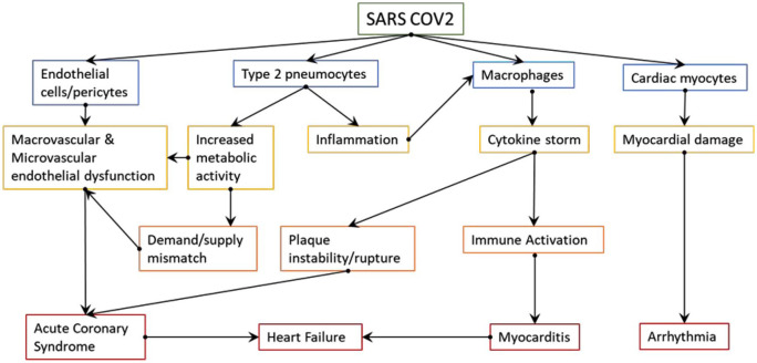 Mechanisms and management of prothrombotic state in COVID-19 disease.