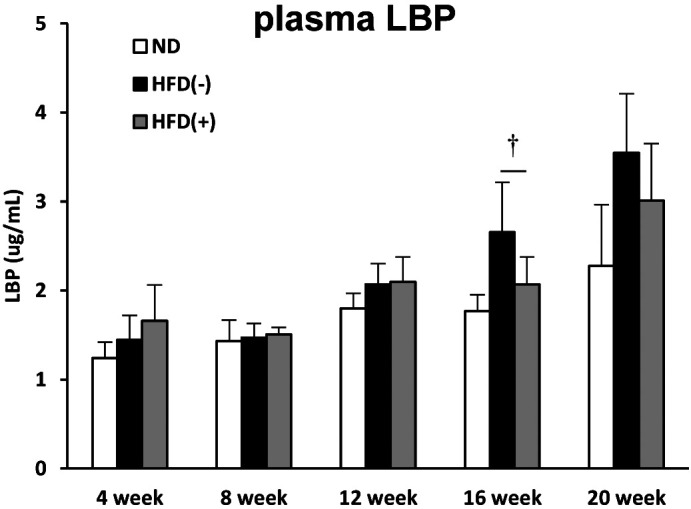 Heat-killed <i>Lactobacillus plantarum</i> L-137 attenuates obesity and associated metabolic abnormalities in C57BL/6 J mice on a high-fat diet.