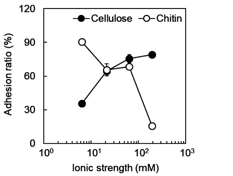 Adhesion mechanisms of <i>Bifidobacterium animalis</i> subsp. <i>lactis</i> JCM 10602 to dietary fiber.