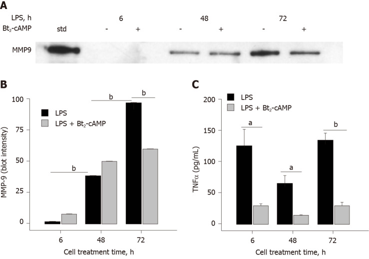 Inhibition of matrix metalloproteinase-9 secretion by dimethyl sulfoxide and cyclic adenosine monophosphate in human monocytes.