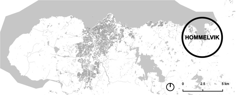 Reducing private car demand, fact or fiction? A study mapping changes in accessibility to grocery stores in Norway.