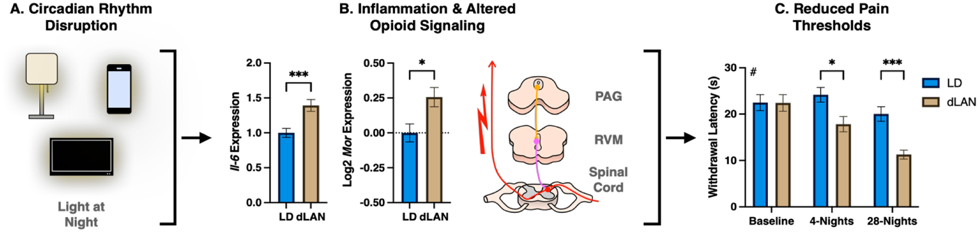 Implications of Disrupted Circadian Rhythms on Pain.