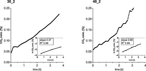 Aspergillus fumigatus AR04 obeys Arrhenius' rule in cultivation temperature shifts from 30 to 40°C