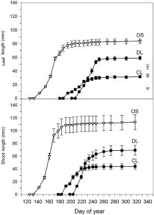 Elevation-specific responses of phenology in evergreen oaks from their low-dry to their extreme high-cold range limits in the SE Himalaya