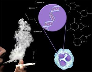 Relationships among smoking, oxidative stress, inflammation, macromolecular damage, and cancer