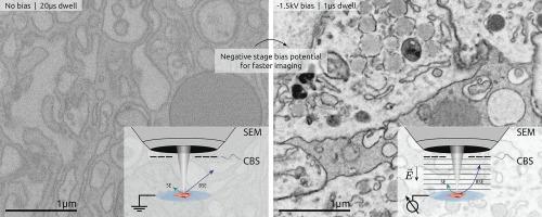 Optimization of negative stage bias potential for faster imaging in large-scale electron microscopy