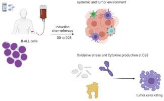 Impact of the induction phase chemotherapy on cytokines and oxidative markers in peripheral and bone marrow plasma of children with acute lymphocytic leukemia