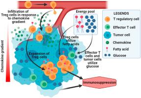 Tumor-infiltrating T-regulatory cells adapt to altered metabolism to promote tumor-immune escape