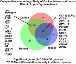 Shared inflammatory and skin-specific gene signatures reveal common drivers of discoid lupus erythematosus in canines, humans and mice