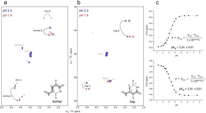 Detecting aspartate isomerization and backbone cleavage after aspartate in intact proteins by NMR spectroscopy