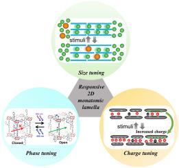 Advanced membranes with responsive two-dimensional nanochannels