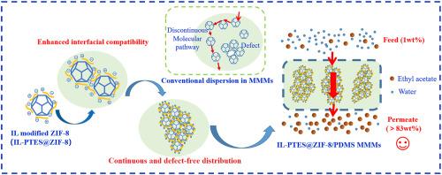 Significantly improved pervaporation performance by relatively continuous and defect-free distribution of IL-modified ZIF-8 in PDMS membrane