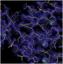 De novo crystal structure determination of double stranded RNA binding domain using only the sulfur anomalous diffraction in SAD phasing