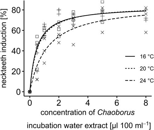 Effect of developmental time on Chaoborus-induced phenotypic plasticity