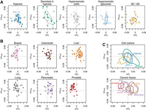 Water as a reactant in the differential expression of proteins in cancer