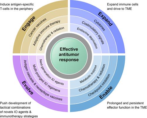 Next Generation Therapeutic Strateg-Es: Evolving cancer immunotherapy through agents that Engage, Expand and Enable the anti-tumor immune response