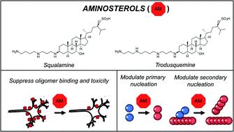 Squalamine and trodusquemine: two natural products for neurodegenerative diseases, from physical chemistry to the clinic