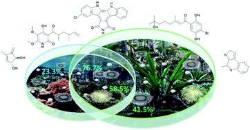 How different are marine microbial natural products compared to their terrestrial counterparts?†
