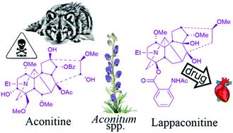 Norditerpenoid alkaloids from Aconitum and Delphinium: structural relevance in medicine, toxicology, and metabolism