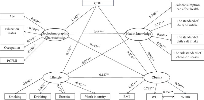 Impact of Sociodemographic Characteristics, Lifestyle, and Obesity on Coexistence of Diabetes and Hypertension: A Structural Equation Model Analysis amongst Chinese Adults.