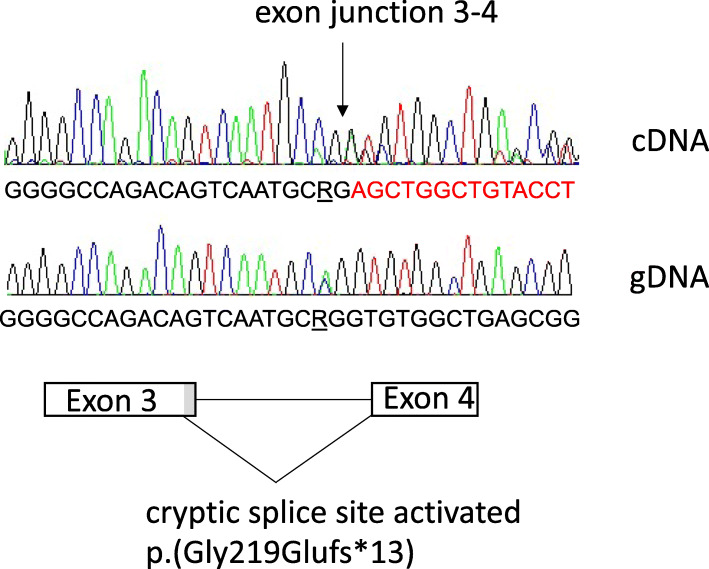 Massive parallel sequencing in individuals with multiple primary tumours reveals the benefit of re-analysis.