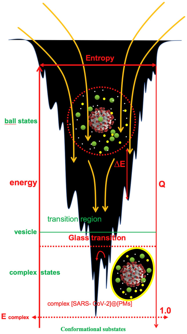 Methodological notes on pandemic virus SARS-CoV-2 research.