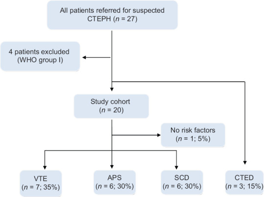 Clinical and physiological characteristics of, medically treated, chronic thromboembolic pulmonary hypertension patients in Saudi Arabia: A single center experience.