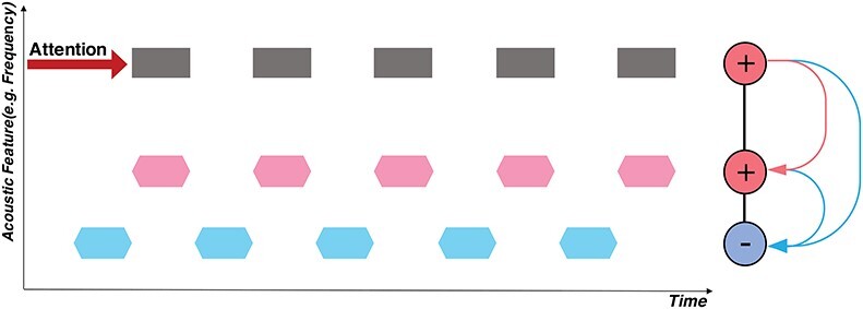 Binding the Acoustic Features of an Auditory Source through Temporal Coherence.