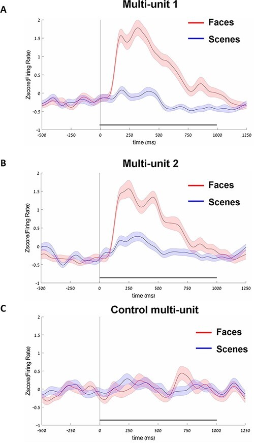 Comparing stimulus-evoked and spontaneous response of the face-selective multi-units in the human posterior fusiform gyrus.