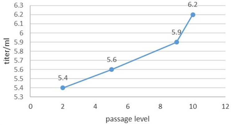 Immunogenicity and Efficacy Evaluation of Vero Cell-Adapted Infectious Bursal Disease Virus LC-75 Vaccine Strain.