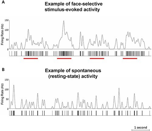 Comparing stimulus-evoked and spontaneous response of the face-selective multi-units in the human posterior fusiform gyrus.