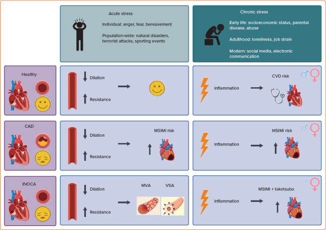 The Role of Mental Stress in Ischaemia with No Obstructive Coronary Artery Disease and Coronary Vasomotor Disorders.