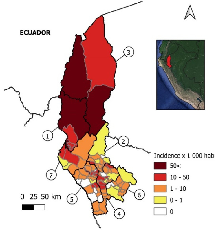 Epidemiological Analysis of COVID-19 Cases in Native Amazonian Communities from Peru.