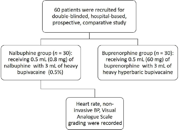 Intrathecal nalbuphine <i>vs</i>. buprenorphine as an adjuvant in lower limb orthopedic surgeries: a prospective randomized controlled study.