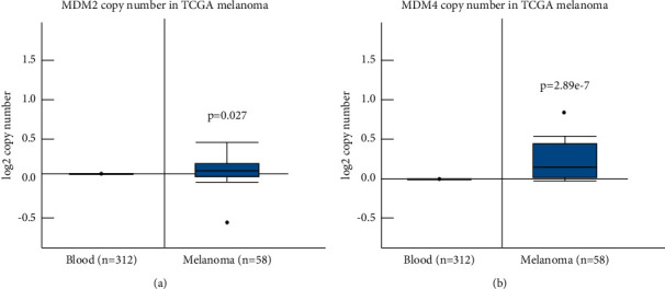 MDM4 Isoform Expression in Melanoma Supports an Oncogenic Role for MDM4-A.