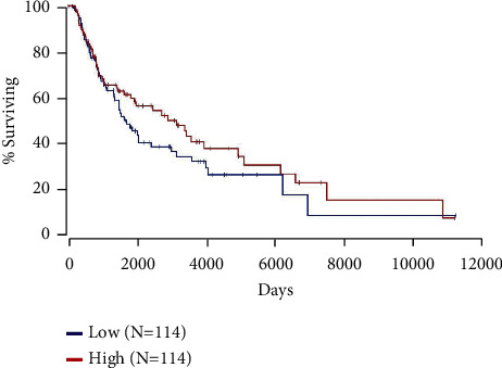 MDM4 Isoform Expression in Melanoma Supports an Oncogenic Role for MDM4-A.