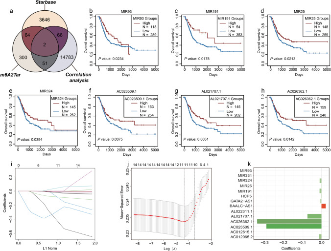 N6-methyladenosine-related non-coding RNAs are potential prognostic and immunotherapeutic responsiveness biomarkers for bladder cancer.