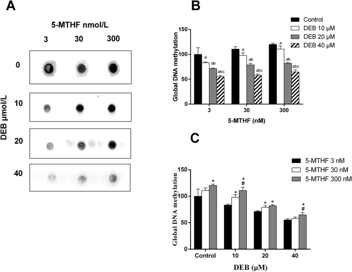 Folate metabolism modifies chromosomal damage induced by 1,3-butadiene: results from a match-up study in China and in vitro experiments.