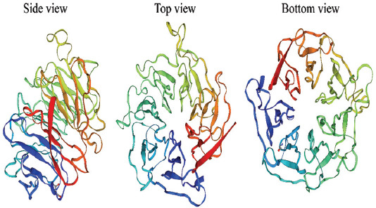 The role of WDR76 protein in human diseases.