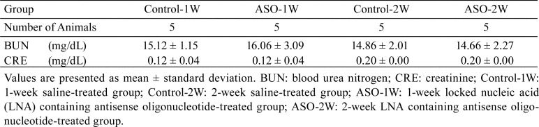 Karnovsky's fixative prevents artifacts appearing as vacuolation derived from tissue processing in kidneys treated with antisense oligonucleotide.