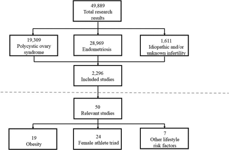 Metabolic risk factors and fertility disorders: A narrative review of the female perspective