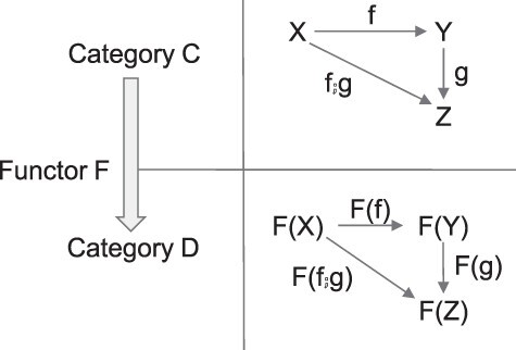 A relational approach to consciousness: categories of level and contents of consciousness.