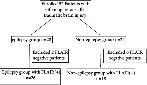 Experimental Imaging Study of Encephalomalacia Fluid-Attenuated Inversion Recovery (FLAIR) Hyperintense Lesions in Posttraumatic Epilepsy.