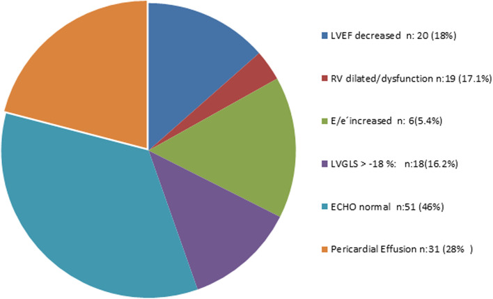 In-hospital COVID-19 infection echocardiographic analysis: a Brazilian, tertiary single-centre experience.