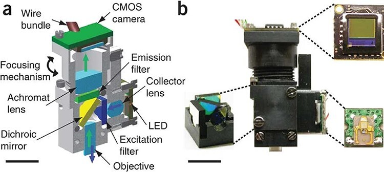 Miniature microscopes for manipulating and recording in vivo brain activity