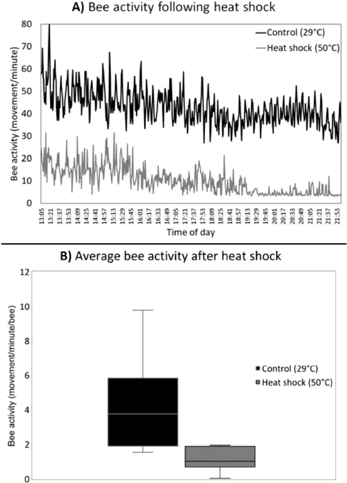 Resistance and survival to extreme heat shows circadian and sex-specific patterns in A cavity nesting bee